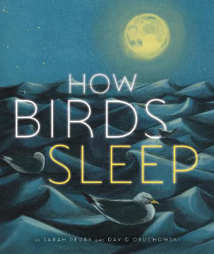 Cover image for How Birds Sleep