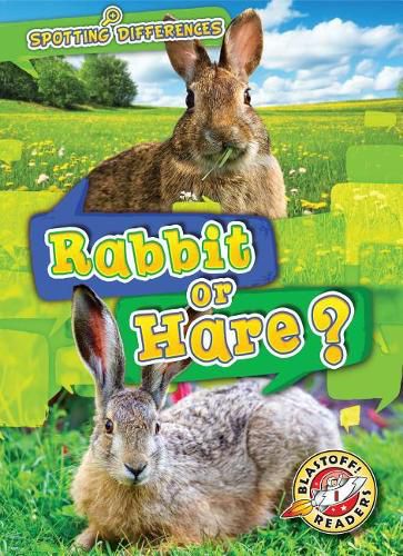 Rabbit or Hare