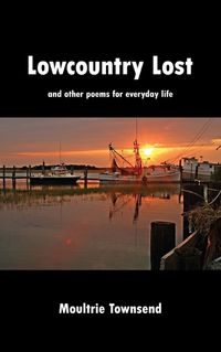 Cover image for Lowcountry Lost