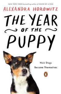 Cover image for The Year of the Puppy