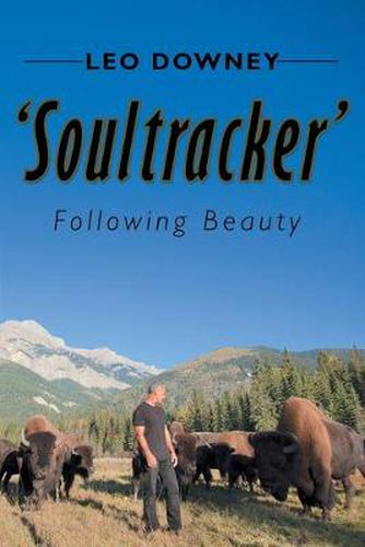 Cover image for 'Soultracker': Following Beauty