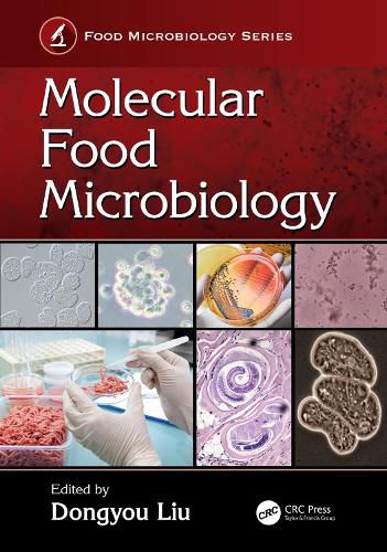 Cover image for Molecular Food Microbiology