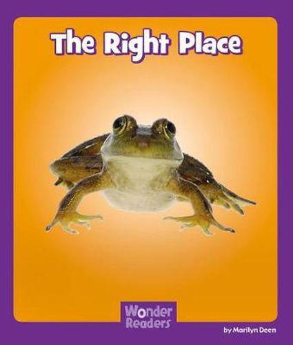 Cover image for The Right Place