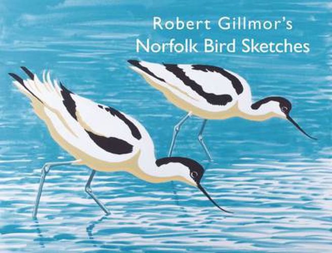 Cover image for Robert Gillmor's Norfolk Bird Sketches