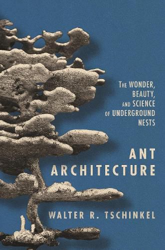 Cover image for Ant Architecture: The Wonder, Beauty, and Science of Underground Nests