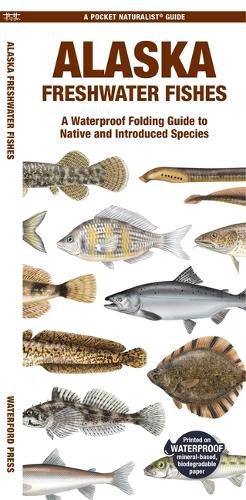 Cover image for Alaska Fishes: A Waterproof Folding Guide to Native and Introduced Species