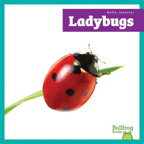 Cover image for Ladybugs