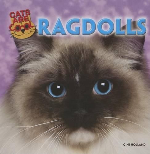 Cover image for Ragdolls