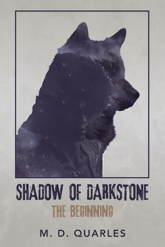 Cover image for Shadow of Darkstone: The Beginning