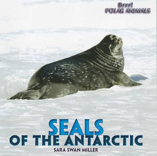 Cover image for Seals of the Antarctic