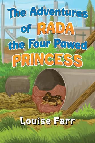 Cover image for The Adventures of Rada the Four Pawed Princess