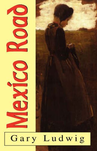 Cover image for Mexico Road