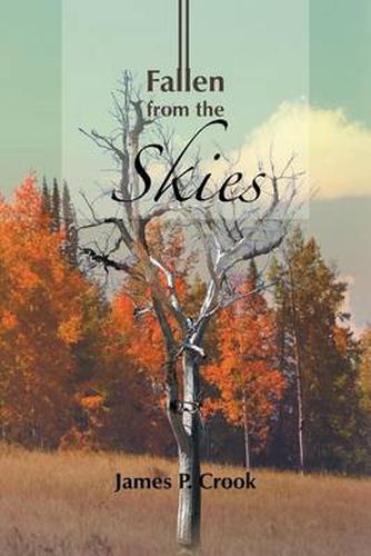 Cover image for Fallen from the Skies