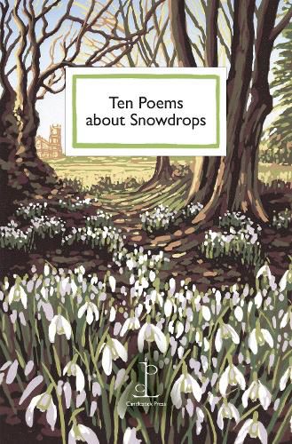 Cover image for Ten Poems about Snowdrops