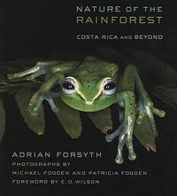 Cover image for Nature of the Rainforest: Costa Rica and Beyond