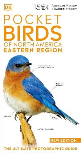 Cover image for AMNH Pocket Birds of North America Eastern Region