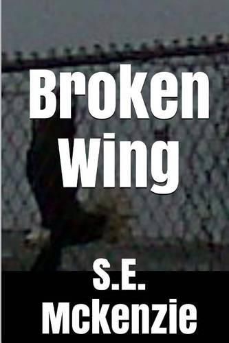 Cover image for Broken Wing: And Other Poems