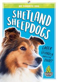 Cover image for Shetland Sheepdogs