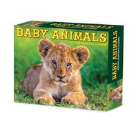 Cover image for Baby Animals 2025 6.2 X 5.4 Box Calendar