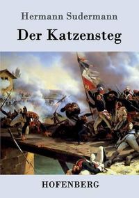 Cover image for Der Katzensteg: Roman