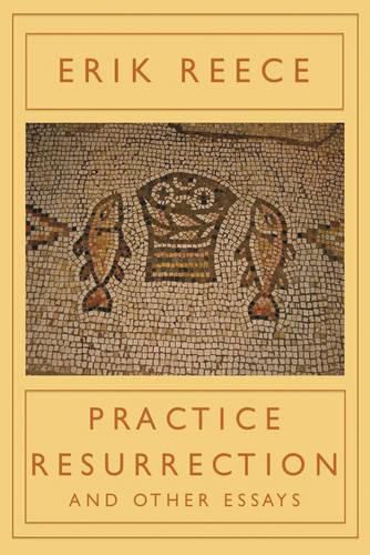 Practice Resurrection: And Other Essays