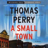 Cover image for A Small Town