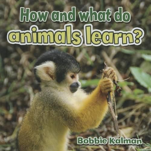 Cover image for How and What Do Animals Learn