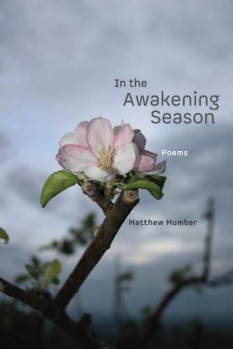 Cover image for In the Awakening Season