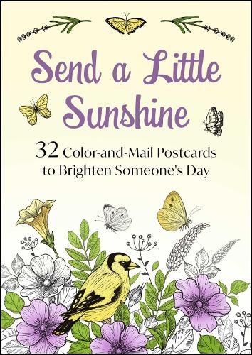 Cover image for Send a Little Sunshine