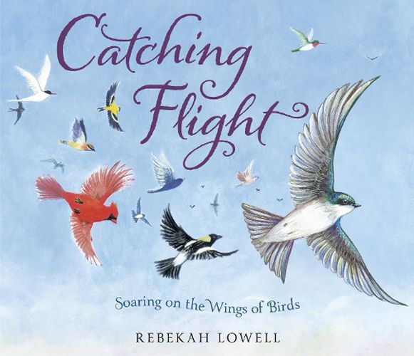 Cover image for Catching Flight: Soaring on the Wings of Birds