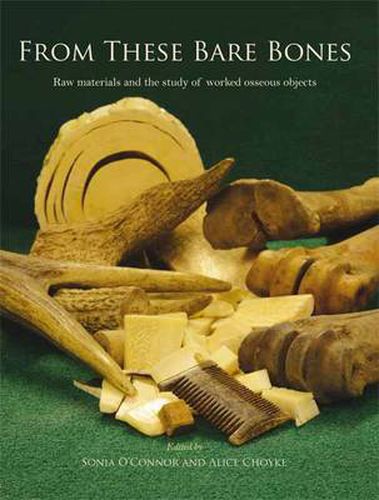 Cover image for From These Bare Bones: Raw Materials and the Study of Worked Osseous Objects