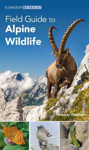 Cover image for Field Guide to Alpine Wildlife