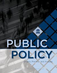 Cover image for Public Policy: Origins, Practice, and Analysis