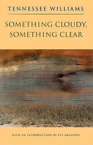 Cover image for Something Cloudy, Something Clear