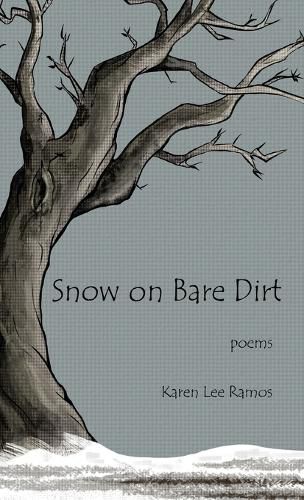 Cover image for Snow on Bare Dirt