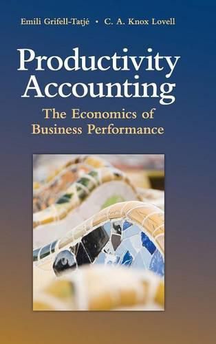 Cover image for Productivity Accounting: The Economics of Business Performance