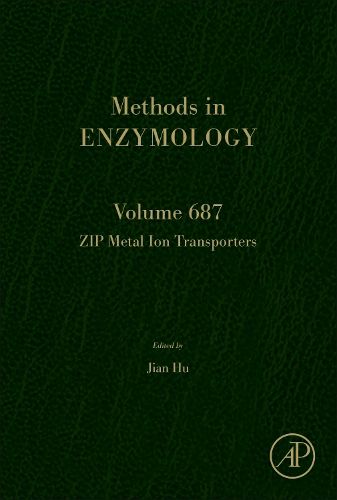 Cover image for ZIP Metal Ion Transporters: Volume 687