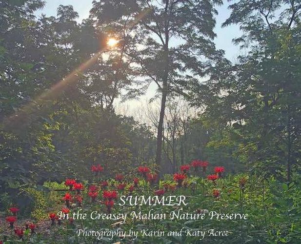 Cover image for Summer in the Creasey Mahan Nature Preserve