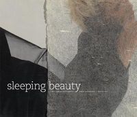 Cover image for Sleeping Beauty: A One-artist Dictionary
