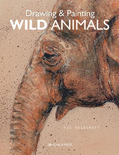 Cover image for Drawing & Painting Wild Animals