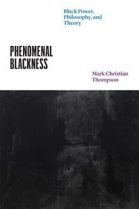 Cover image for Phenomenal Blackness: Black Power, Philosophy, and Theory