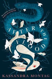 Cover image for After the Flood