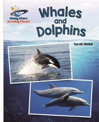 Cover image for Reading Planet - Whales and Dolphins - White: Galaxy