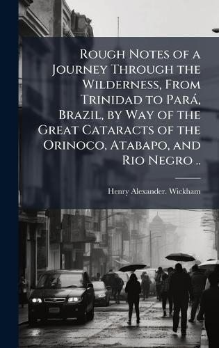 Rough Notes of a Journey Through the Wilderness, From Trinidad to ParaI, Brazil, by Way of the Great Cataracts of the Orinoco, Atabapo, and Rio Negro ..