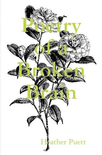 Cover image for Poetry of a Broken Brain