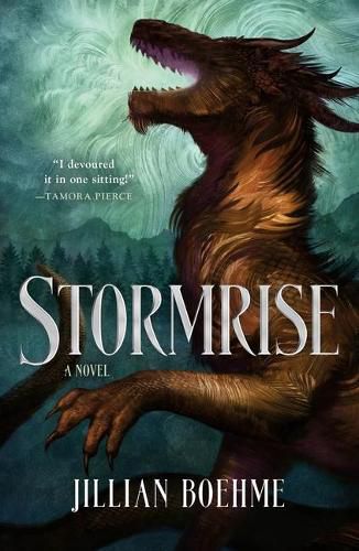 Cover image for Stormrise