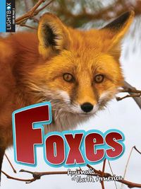 Cover image for Foxes