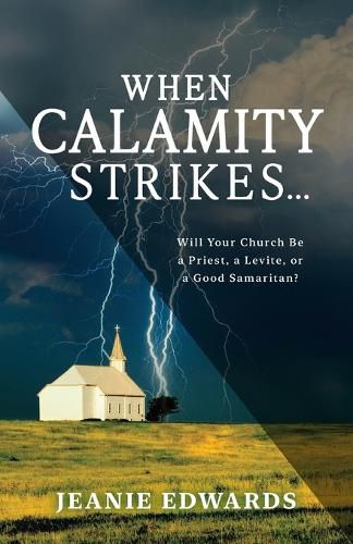 Cover image for When Calamity Strikes...