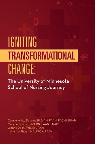 Cover image for Igniting Transformational Change: