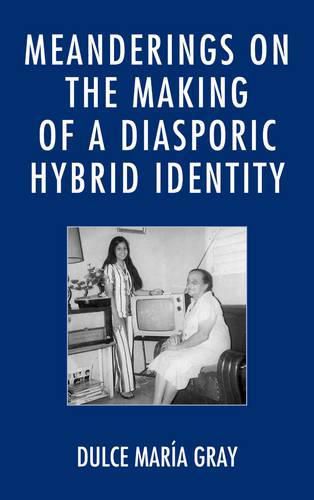 Cover image for Meanderings on the Making of a Diasporic Hybrid Identity